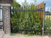 забор и калитка